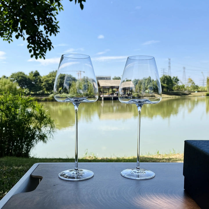 Set of fine wine and champagne glasses