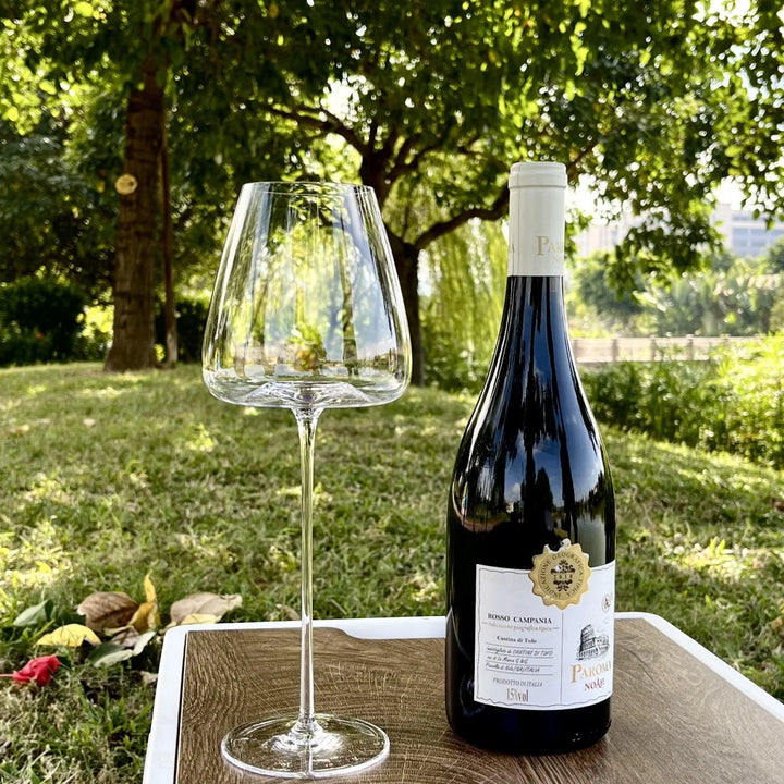 Set of fine wine and champagne glasses
