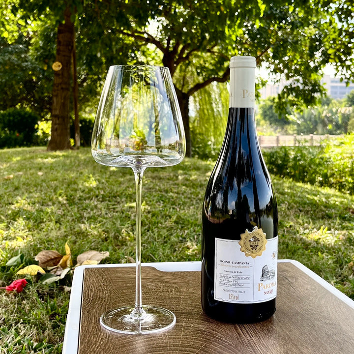 Set of fine wine and champagne glasses