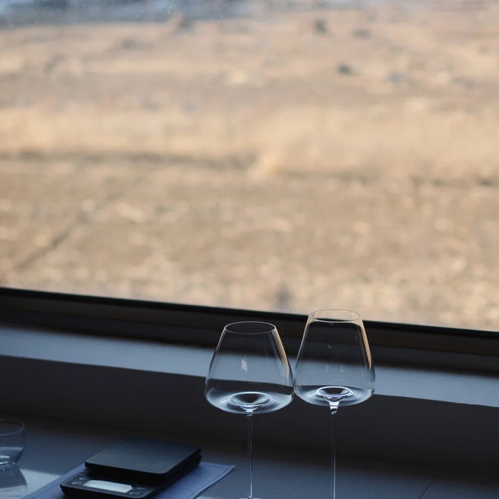 Set of fine wine and champagne glasses