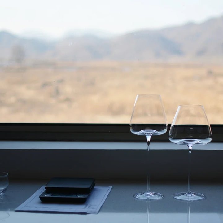 Set of fine wine and champagne glasses
