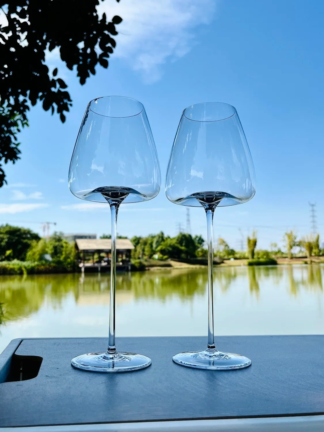 Wine and champagne glasses set for special occasions