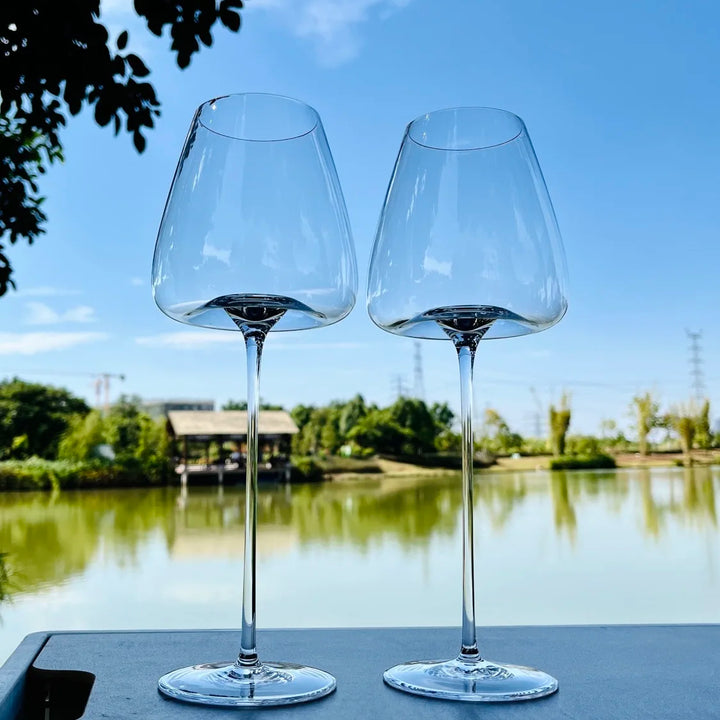 Set of fine wine and champagne glasses